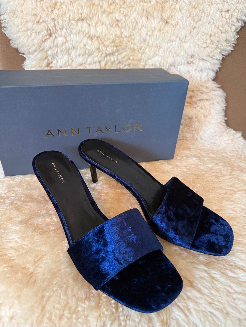 Ann Taylor Blue Velvet Heels